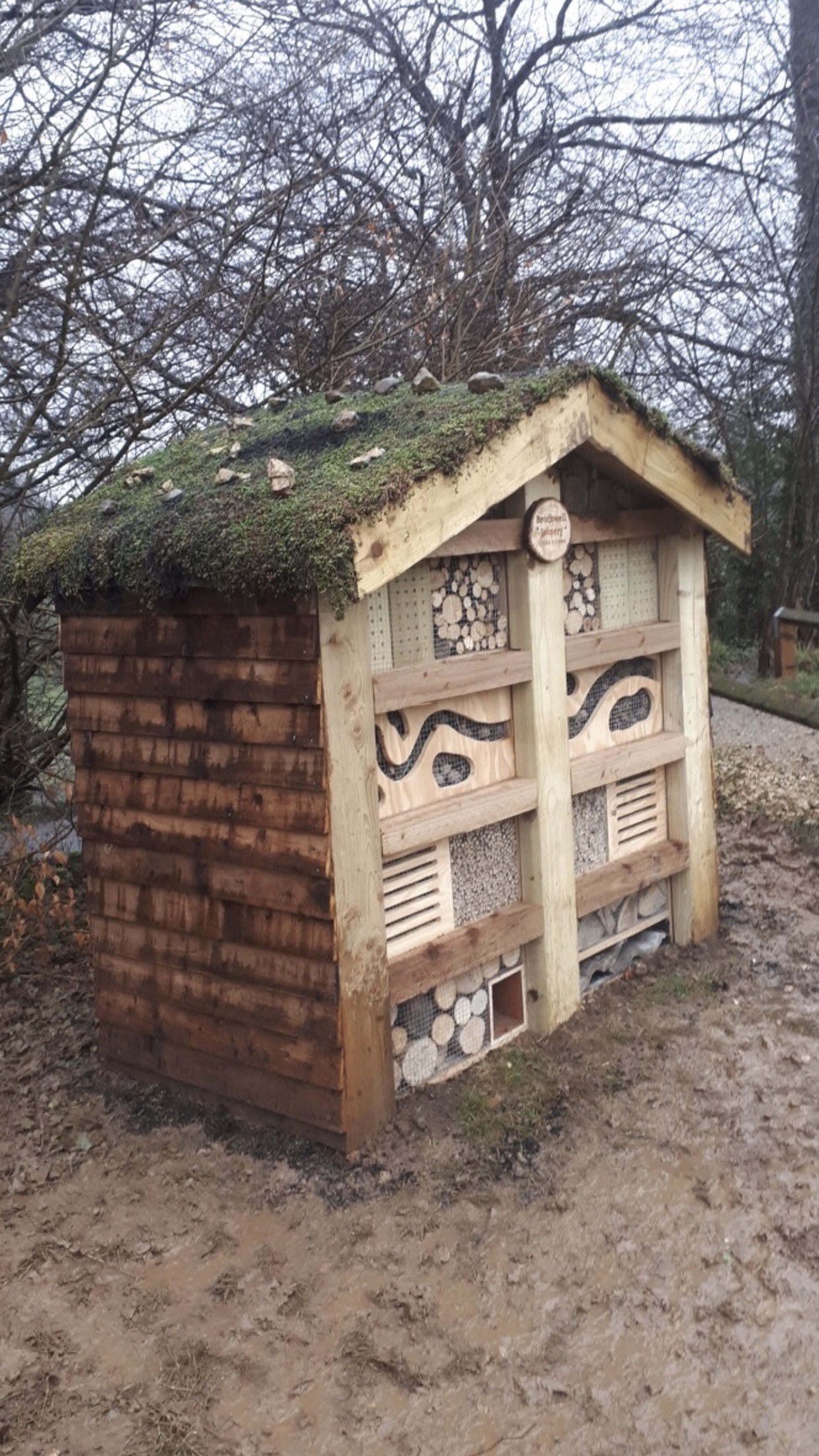 bee hotel